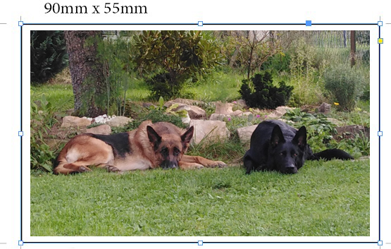 KAPESNÍ kalendář roční