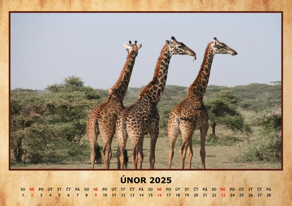 Kalendář A4 ZVÍŘATA