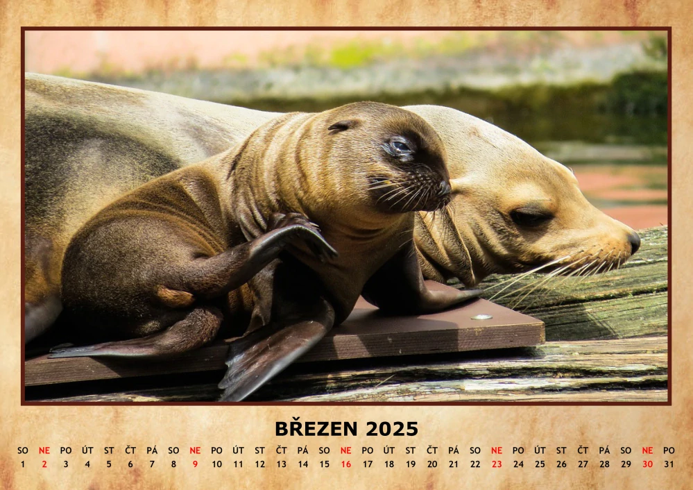 Kalendář A4 ZVÍŘATA